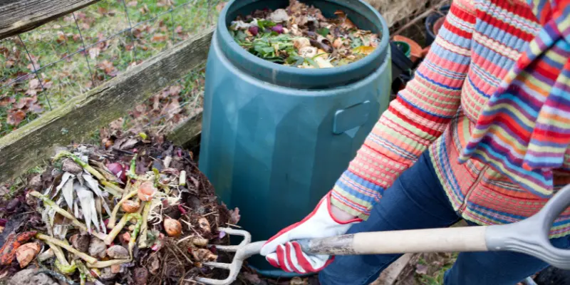 compost too wet how to fix soggy compost