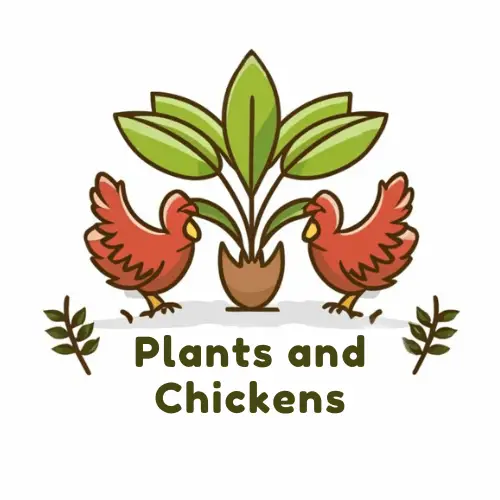plants and chickens logo
