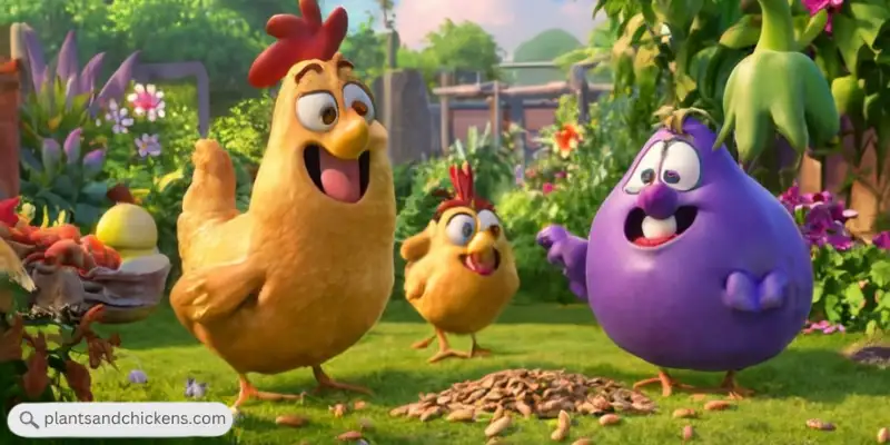 can chickens eat eggplant seeds